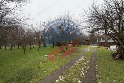 Casă cu 3 camere cu Teren 2540 Mp în Vulpeni - 11