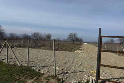Teren de 4000 mp, în Câmpineanca - 4