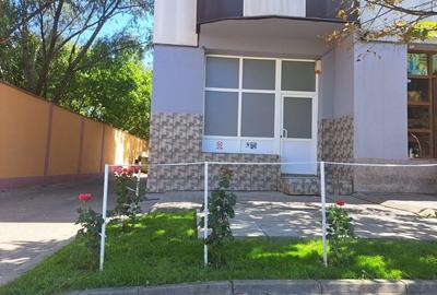 Spațiu comercial, de 59 mp, în Buda - 2
