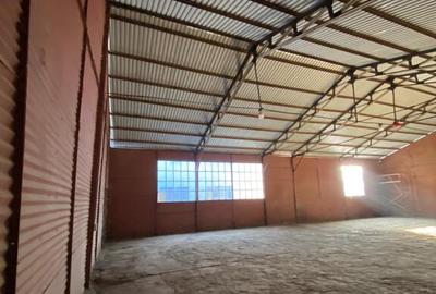 Hala/Depozit/Spatiu industrial/comercial de inchiriat - 216 MP Husi - 4