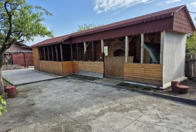 Casa batraneasca , foisor si teren de vanzare - 10