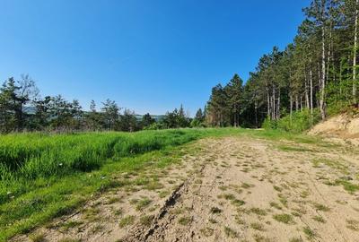 Teren intravilan de vanzare , zona Sf Ion, Padurea Faget - 3