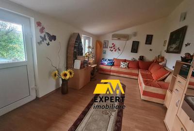 Casa Brailita sup 577 mp ,mobilata complet - 6