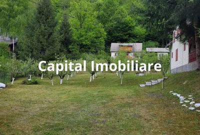 Proprietate Unica in Inima Naturii Galaoaia, Mure? - 3