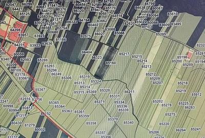 Teren de 65000 mp, în Central - 7