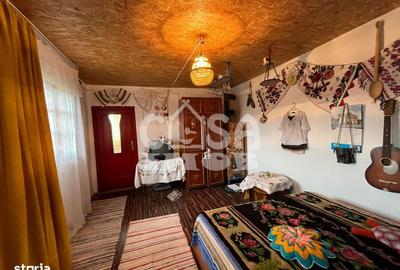 Casă cu 1 camere cu Teren 5000 Mp în Mogoșani - 14