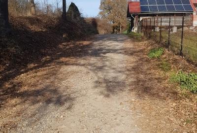 Teren de 5755 mp, în Central
