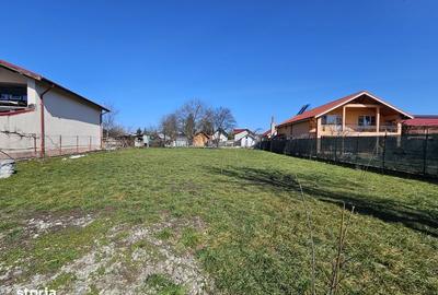 Teren de 1000 mp, în Snagov - 4