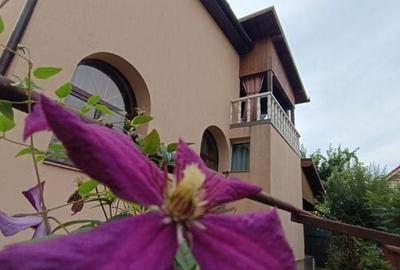 ? VILA DEOSEBITĂ DE VÂNZARE ÎN ARAD - ZONA CENTRALĂ - 28