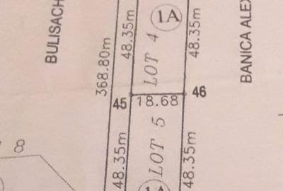 Teren - Snagov -900MP - 8