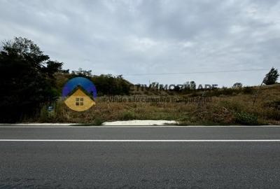 Teren Piatra Neamt , la strada 70 m lineari deschidere - 5