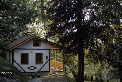 Proprietate unica, cu vedere spre cetatea Medievală Sighișoara ( sit UNESCO ) - 9