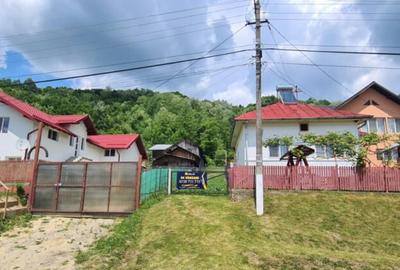 Teren 7000mp Pucioasa - Zona Pitoreasca - 4