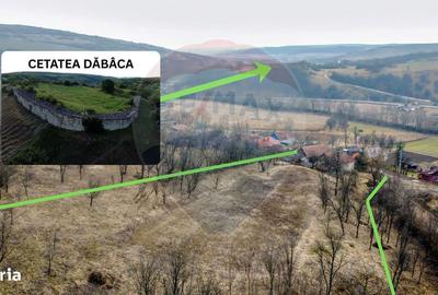 Spațiu comercial, în Dăbâca - 3
