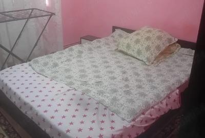 Apartament cu 2 camere decomandat în Șandra - 2