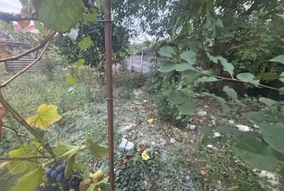 Vand casa in Ronat 350000 euro Vand casa in Ronat 350000 euro - 13