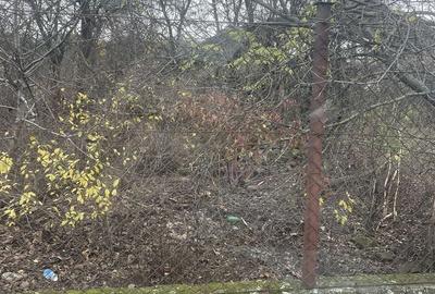 Teren in suprafata de 2165 mp cu front de 30 ml - 1