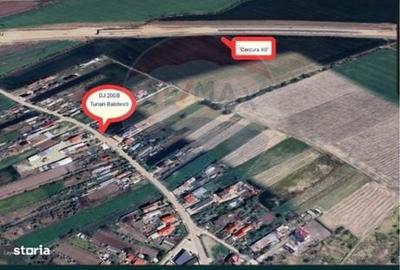 Spațiu comercial, în Dimieni - 7