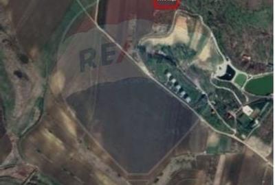 Teren 5,000mp Vorovesti / None - 3