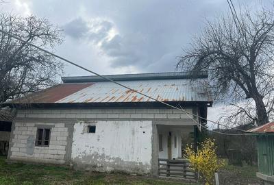 Casă cu 4 camere cu Teren 5000 Mp în Roești - 3