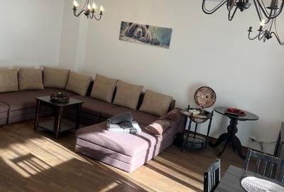 Apartament de vacanță pârtia CLĂBUCET - 8