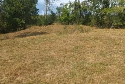 Teren de vanzare Coebeni-Turburea-Arges - 4