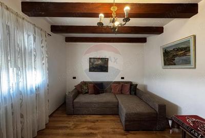 Casa +teren de vanzare in Bacau, pozi?ie excelenta la E85 - 4