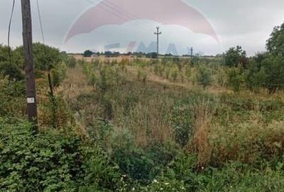 Teren Construcții intravilan de 2341 mp, în Uileacu de Munte - 16