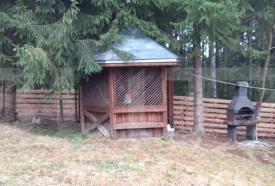 Casă cu 3 camere cu Teren 500 Mp în Central