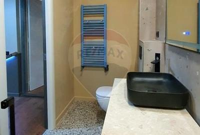 Vila de vanzare in zona Piata Alba Iulia - 34