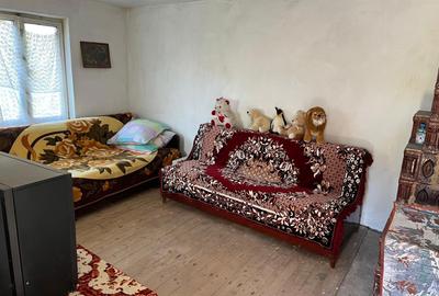 Casă cu 2 camere în Dobroteasa - 6