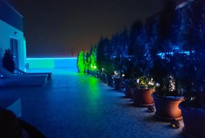 Apartament 3 camere Drumul Binelui - 10