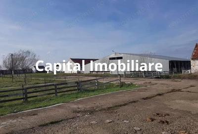Casă cu 3 camere cu Teren 24281 Mp în Ciortea - 2