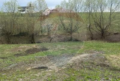 Teren de 2700 mp, în Șcheia