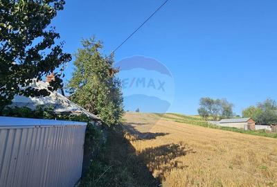 Teren intravilan, 7500 mp in Moara Carp / Strada Eternita... - 3