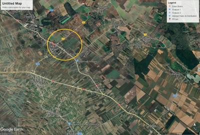 Teren Construcții intravilan de 9884 mp, în Răcari - 2