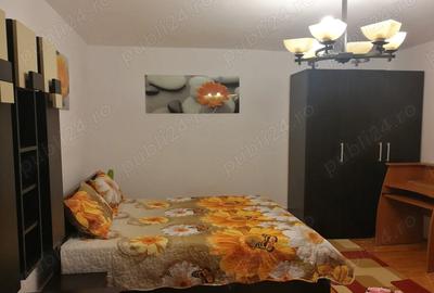 Garsonieră decomandată în Brazda lui Novac - 2