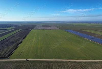 Vanzare teren. Oportunitate investitie, Jud.Giurgiu, Valter Maracineanu - 4