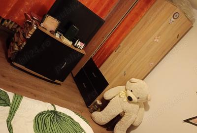 Vind apartament 2 camere Tg.Jiu - 2