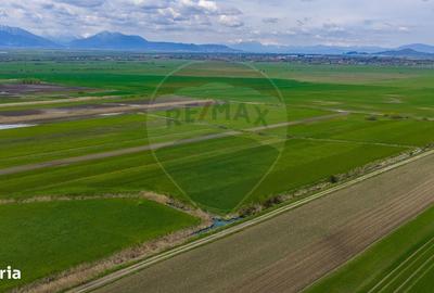 Spațiu comercial, în Lunca Mărcușului - 11