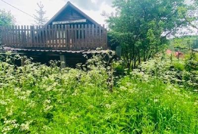 Casa de vacanta in Baiut - 10