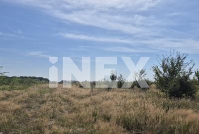 Teren intravilan de vanzare in Trivale - zona Magic | 500 m - 1