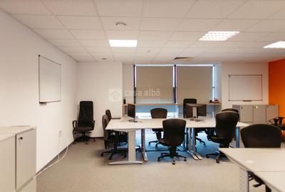 Tudor Vladimirescu - spatiu birouri clasa A, READY TO MOVE - 10