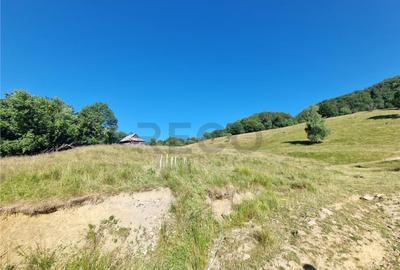 RECO teren extravilan Remeti - 7