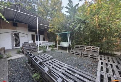 Cabana pe Stradul din Arad aproape de Mures - 6