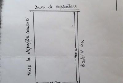 Teren de 7000 mp, în Gruiu