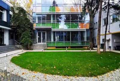 Spatiu comercial | Activitati diverse | Domenii | Cladire birouri - 5