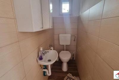 Casă în Viile Satu Mare - 13