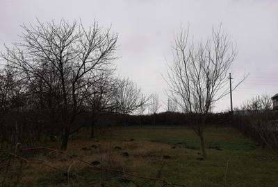 Casă cu 6 camere cu Teren 1848 Mp în Pașcani - 3