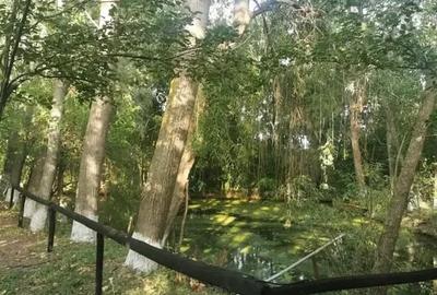 Teren in Contesti, Dambovita - 21